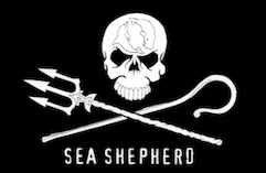 sea shepheard